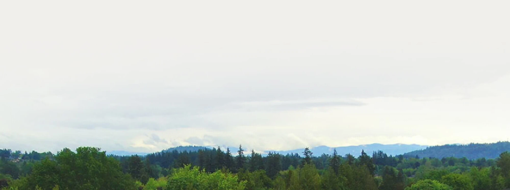 Quality & precision delivered on time & in-budget.