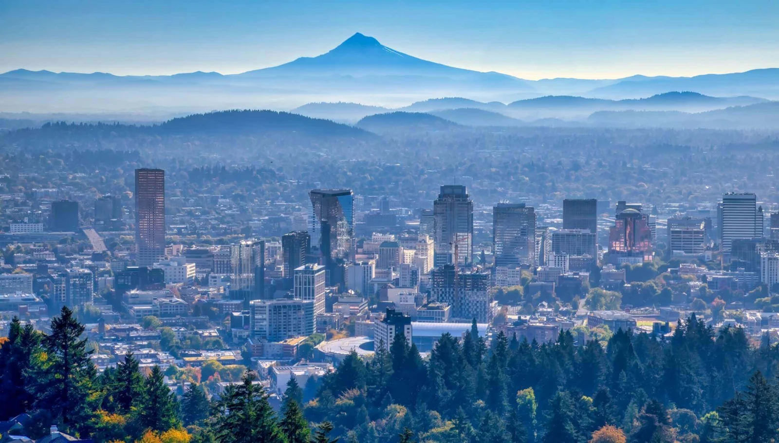 Serving the greater Pacific Northwest, we work with our clients — architects, developers, building owners, property managers, and other contractor — to develop innovative solutions that meets the vision, but exceeds expectations.